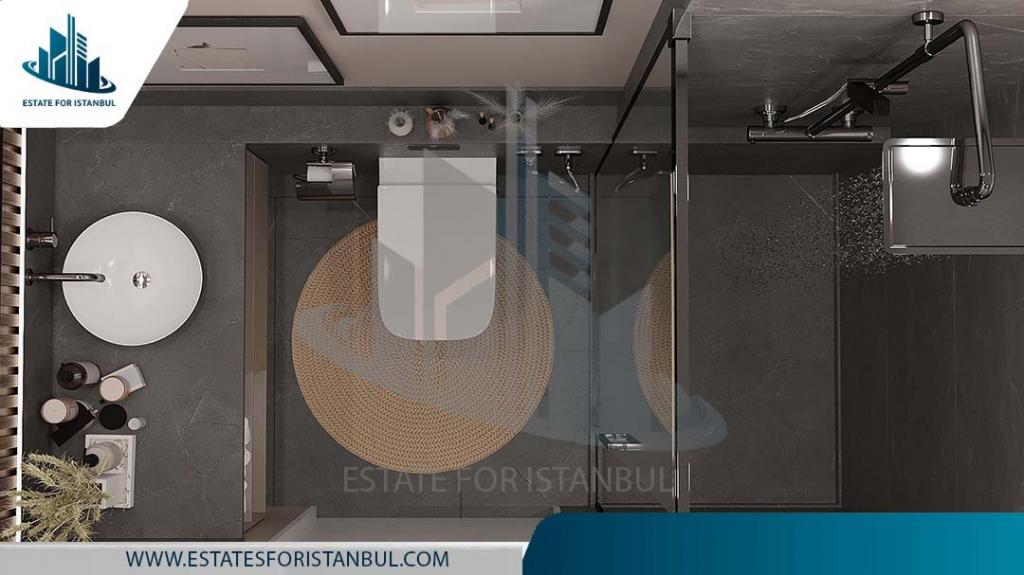 EFI-80